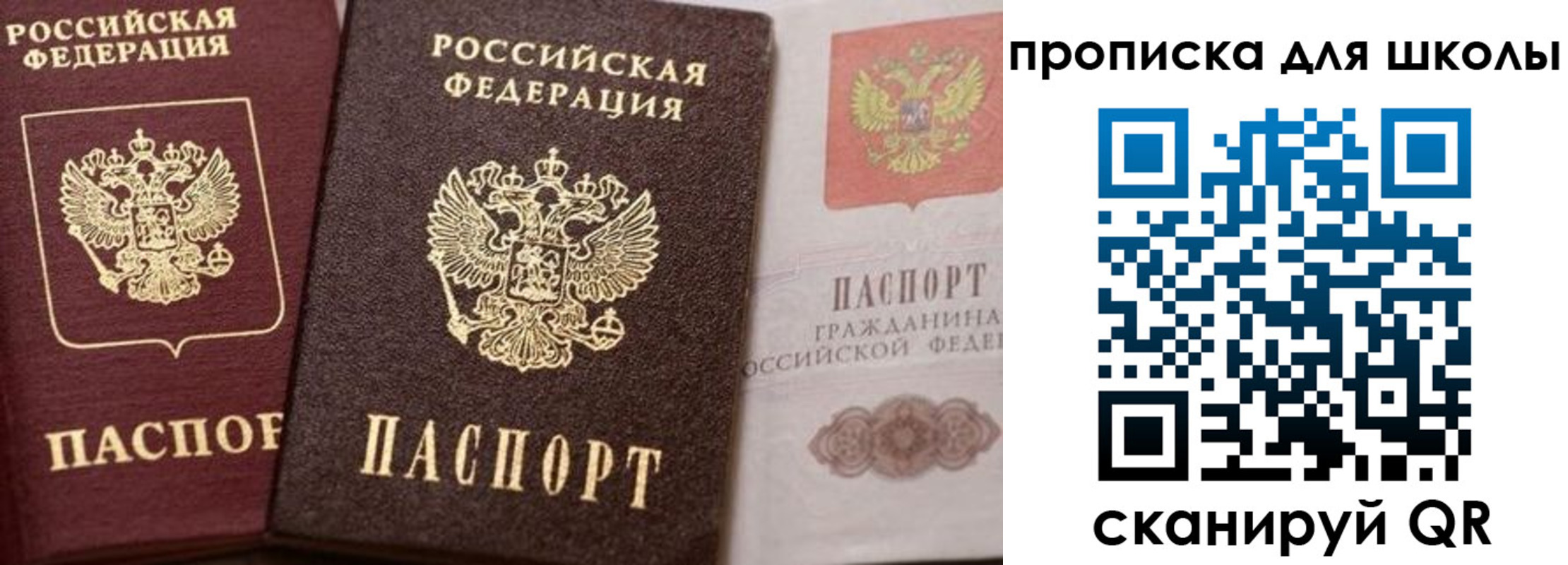 прописка законно в Алейске
